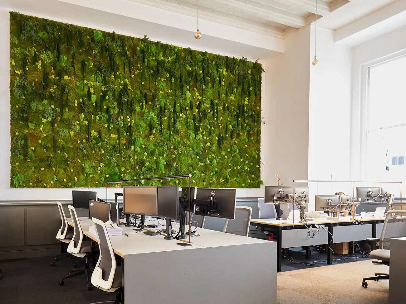 green-walls
