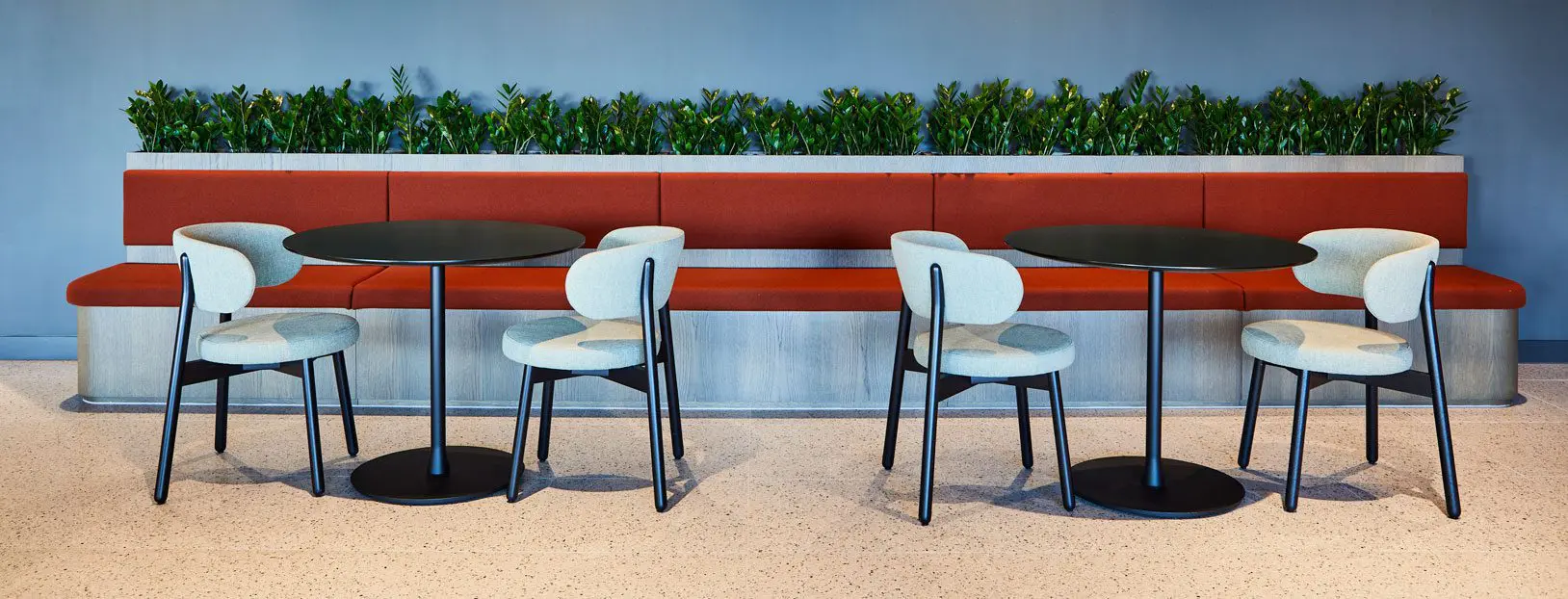 office-plants-landscaping1