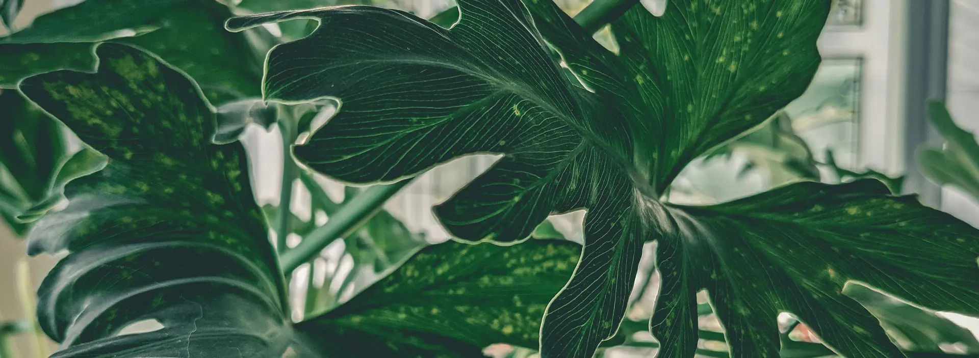 artificial-plants